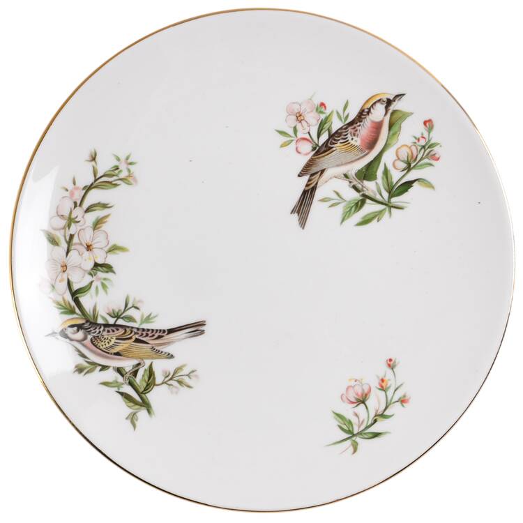 Audubon Birds Coupe Salad Plate