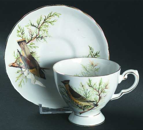 Audubon Birds Footed Cup & Saucer Set