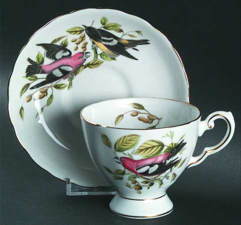 Audubon Birds Footed Cup & Saucer Set