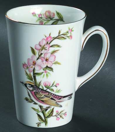 Audubon Birds Mug