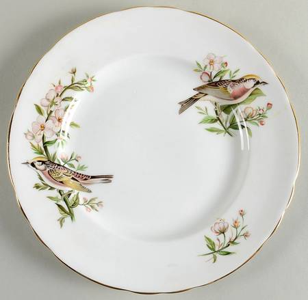 Audubon Birds Salad Plate
