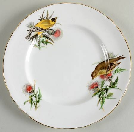 Audubon Birds Salad Plate