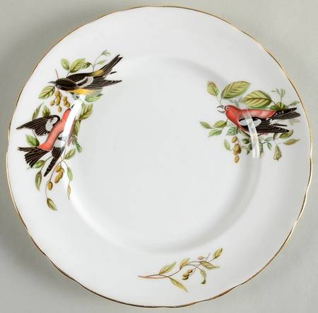 Audubon Birds Salad Plate