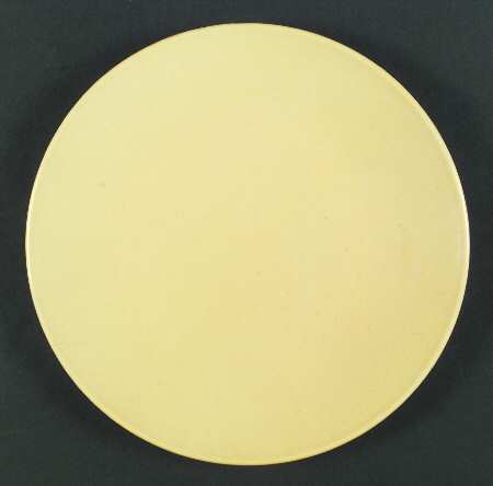 TST386 Dinner Plate