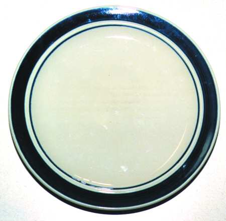 TIE23 Dinner Plate