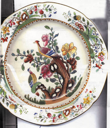 TMG1 Dinner Plate