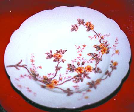 TRV245 Rim Soup Bowl