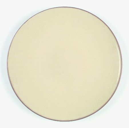 TST403 Dinner Plate