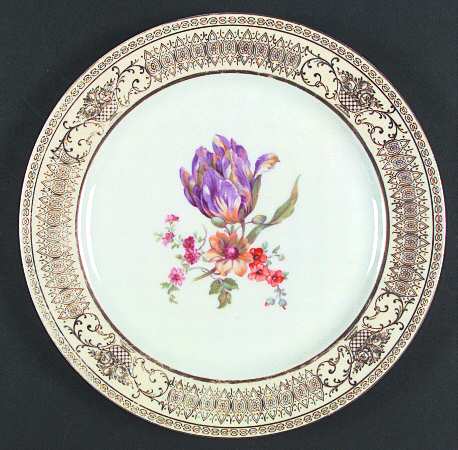 TIR270 Dinner Plate