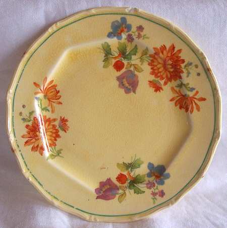 TST516 Dinner Plate
