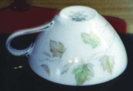 Harvest Time Flat Cup