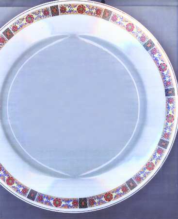 THU263 Dinner Plate