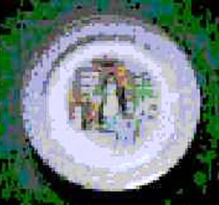 TST598 Luncheon Plate