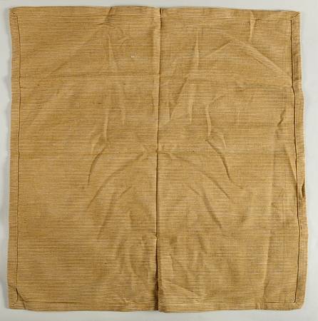 Fruition Cloth Napkin