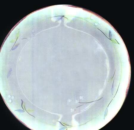 Tzi3 Dinner Plate