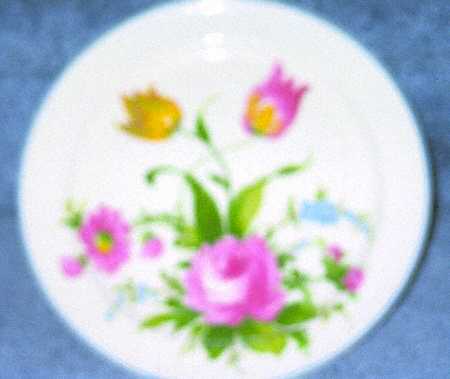 1362 Dinner Plate