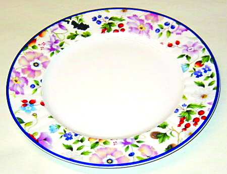 R6L13 by Royal Limoges