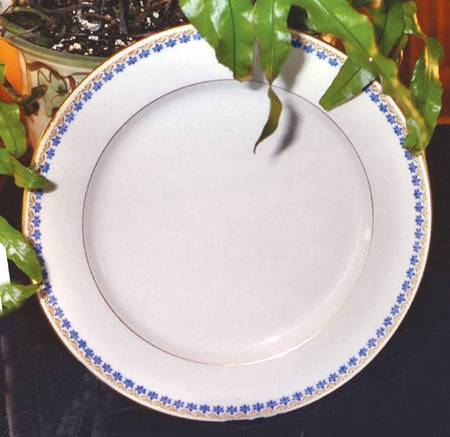 TRV460 Dinner Plate