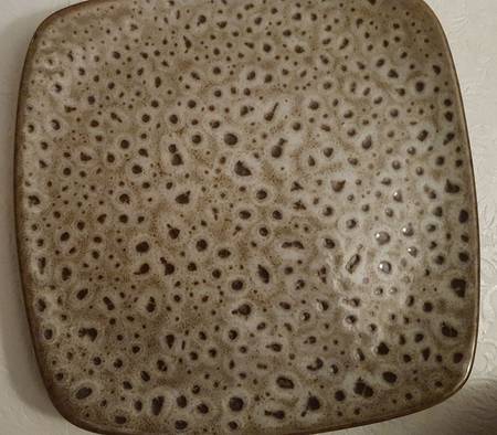 Quattro Seaweed Black Dinner Plate