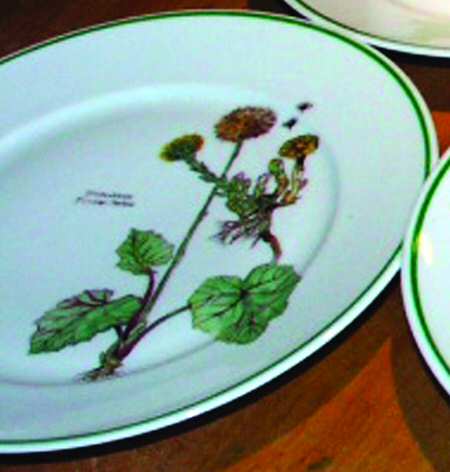 TIR460 Salad Plate