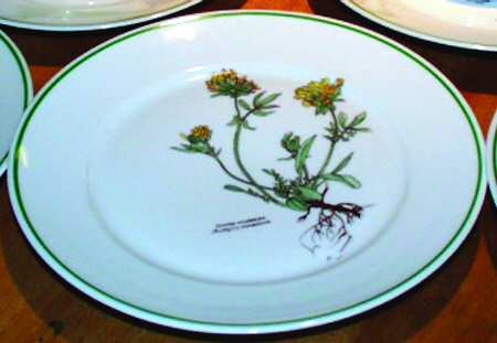 TIR460 Salad Plate