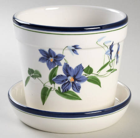Clematis 4" Flower Pot with Underplate