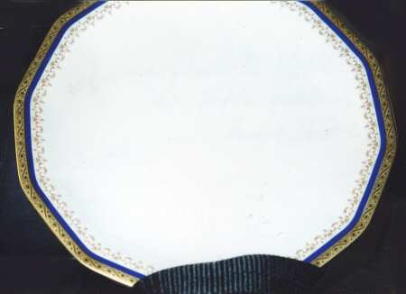 TIR496 Dinner Plate