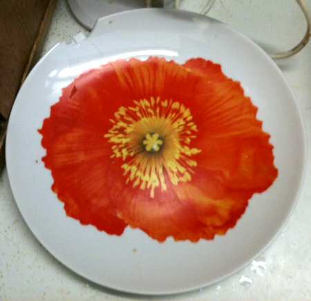 TGT2 Dinner Plate