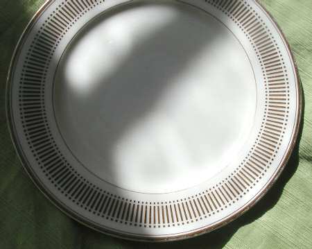 TIC75 Dinner Plate