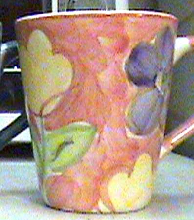 Savannah Mug