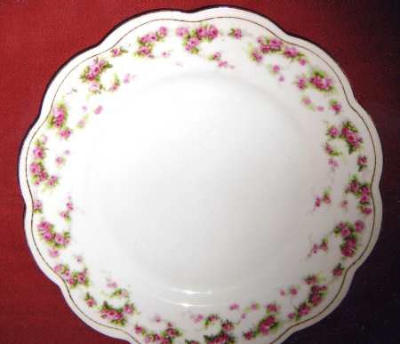 TIA9 Dinner Plate