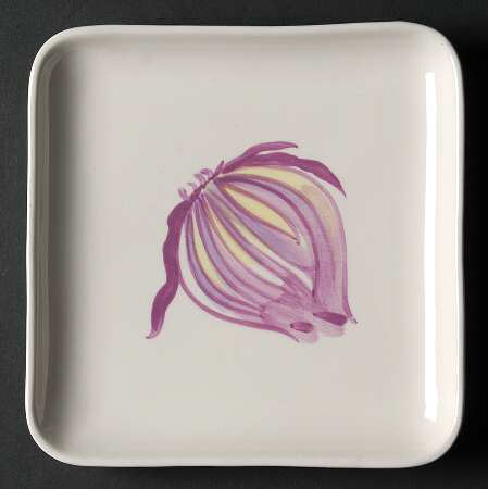 Veggie-Tables Square Appetizer Plate