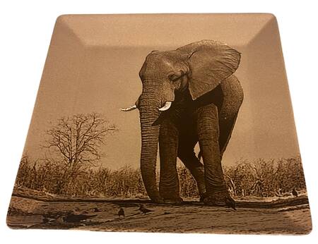 TAU41 14" Square Platter