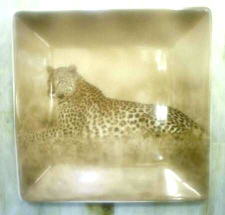 TAU41 Appetizer Plate