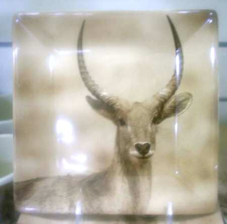 TAU41 Appetizer Plate