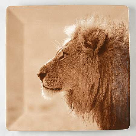 TAU41 14" Square Platter