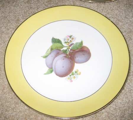 TIR541 Dinner Plate