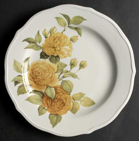 TFX2 Dinner Plate