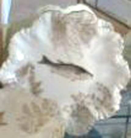 TRV703 Dinner Plate