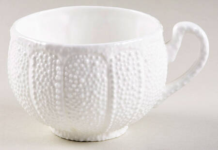 Sea Urchin Flat Cup