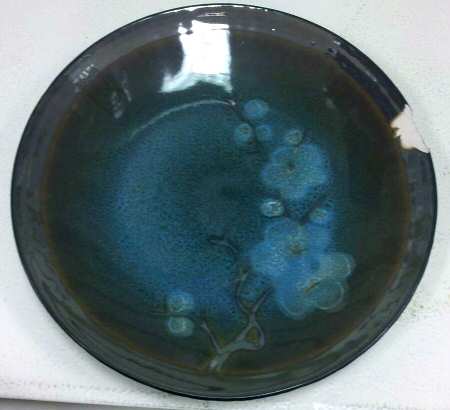 TGE1 Dinner Plate