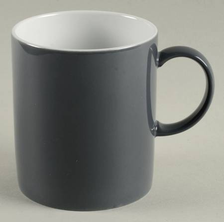 Sunny Day Slate Grey by Thomas