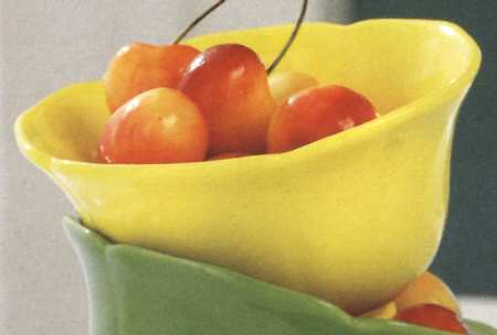 Gazebo Individual All Purpose Bowl