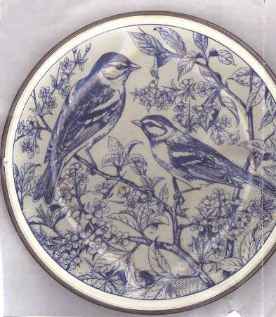 Gli Amici del Mattino Luncheon Plate