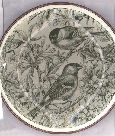 Gli Amici del Mattino Luncheon Plate