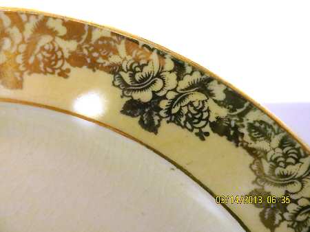 TST1035 Dinner Plate