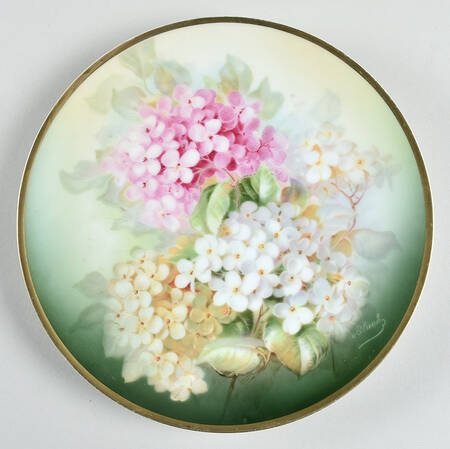 Hortensia by Thomas