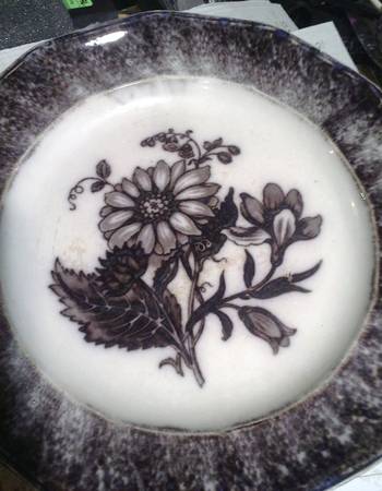 Flora by Thomas Walker