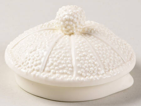 Sea Urchin Cream Lid for Teapot