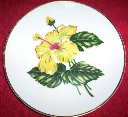 Floral Dinner Plate
